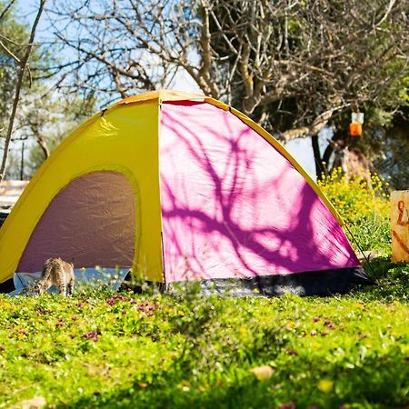 Camping Panorama Hotel Ouazzane Eksteriør billede