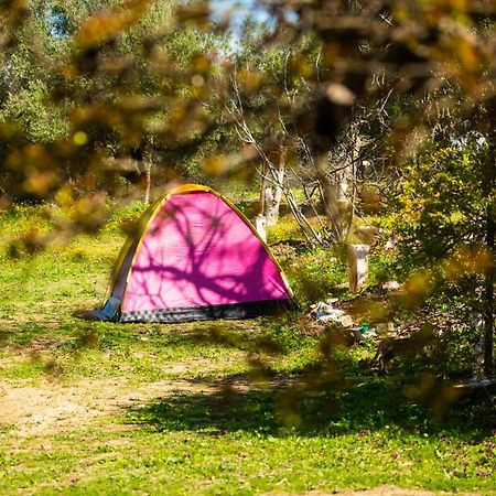 Camping Panorama Hotel Ouazzane Eksteriør billede