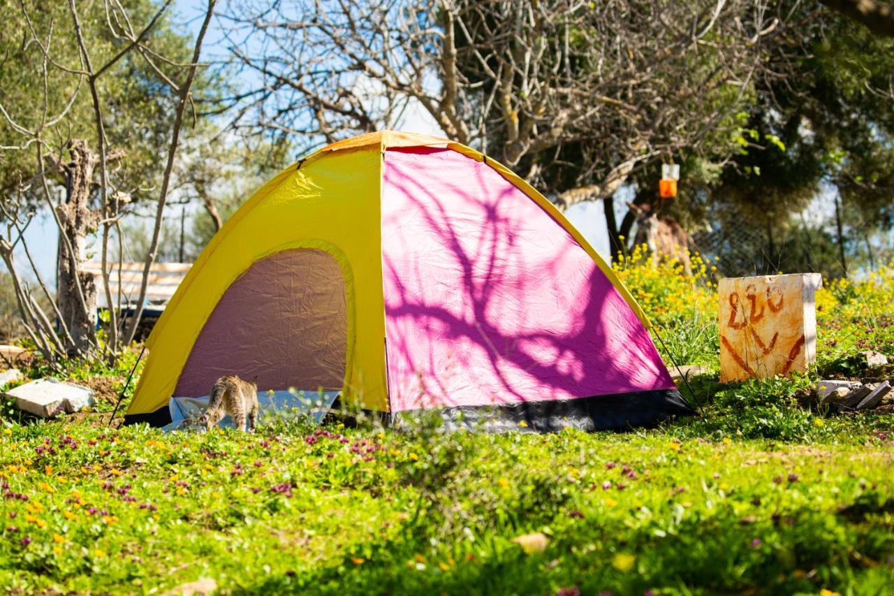 Camping Panorama Hotel Ouazzane Eksteriør billede
