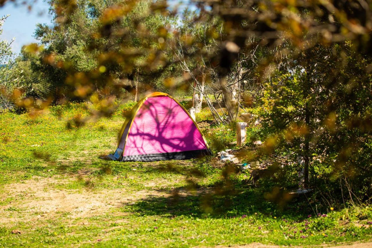 Camping Panorama Hotel Ouazzane Eksteriør billede